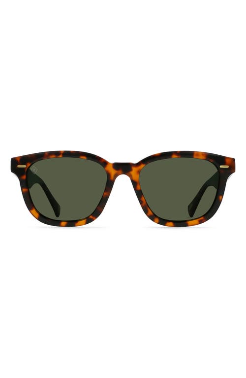 Shop Raen Myles 53mm Round Sunglasses In Huru/green Polarized