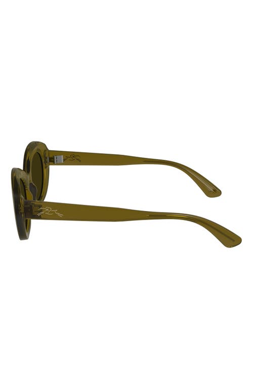 Longchamp Le Pliage 50mm Oval Sunglasses In Transparent Brown