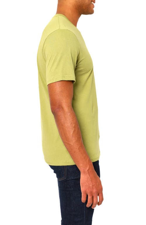 Vellapais Amiens Crewneck Cotton T-shirt In Open Green