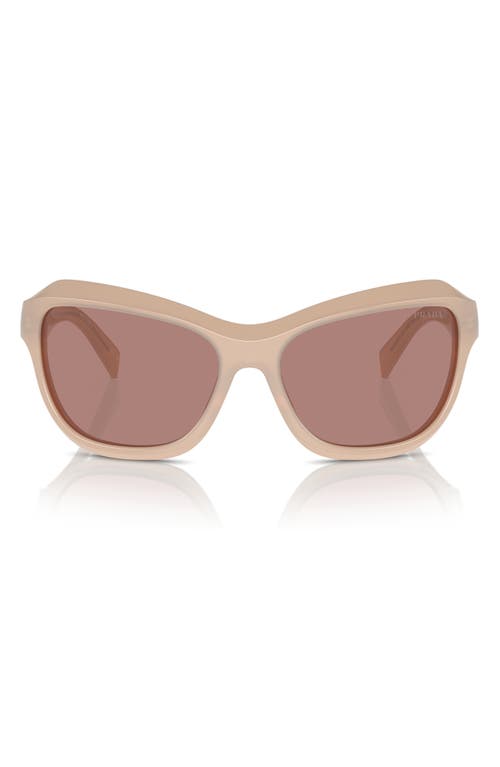Prada 63mm Oversize Butterfly Sunglasses In Lite Brown