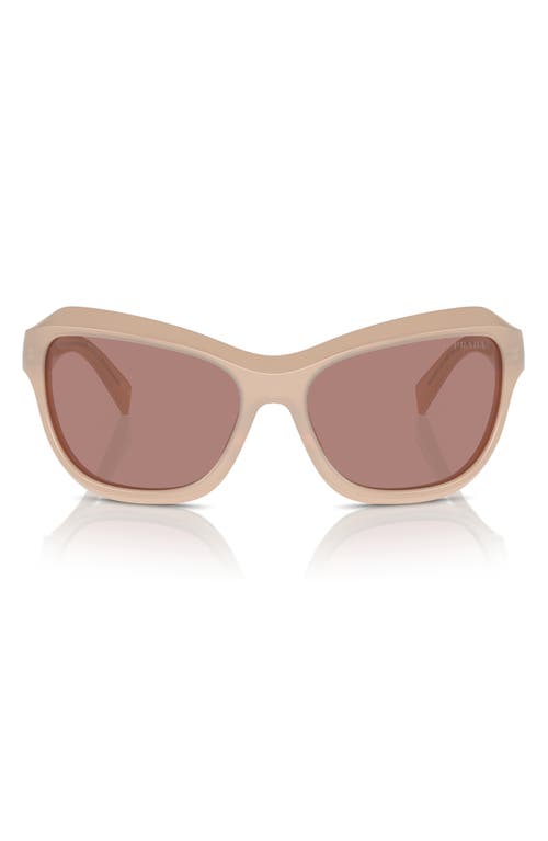 Shop Prada 63mm Oversize Butterfly Sunglasses In Lite Brown