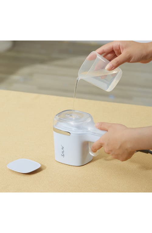 Salav Quicksteam Travel Steamer In Peri