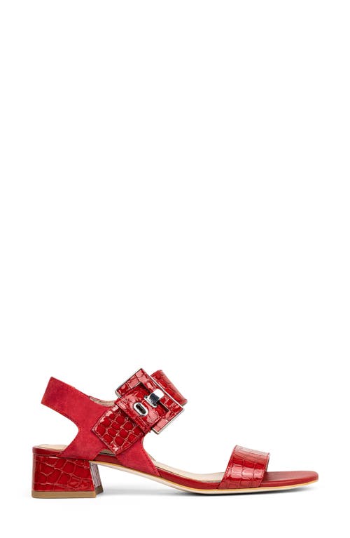 Shop Donald Pliner Vixi Block Heel Sandal In Tomato