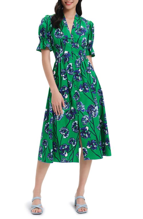 Diane von Furstenberg Erica Print Dress in Wtcl Flor Lg Ind Gn