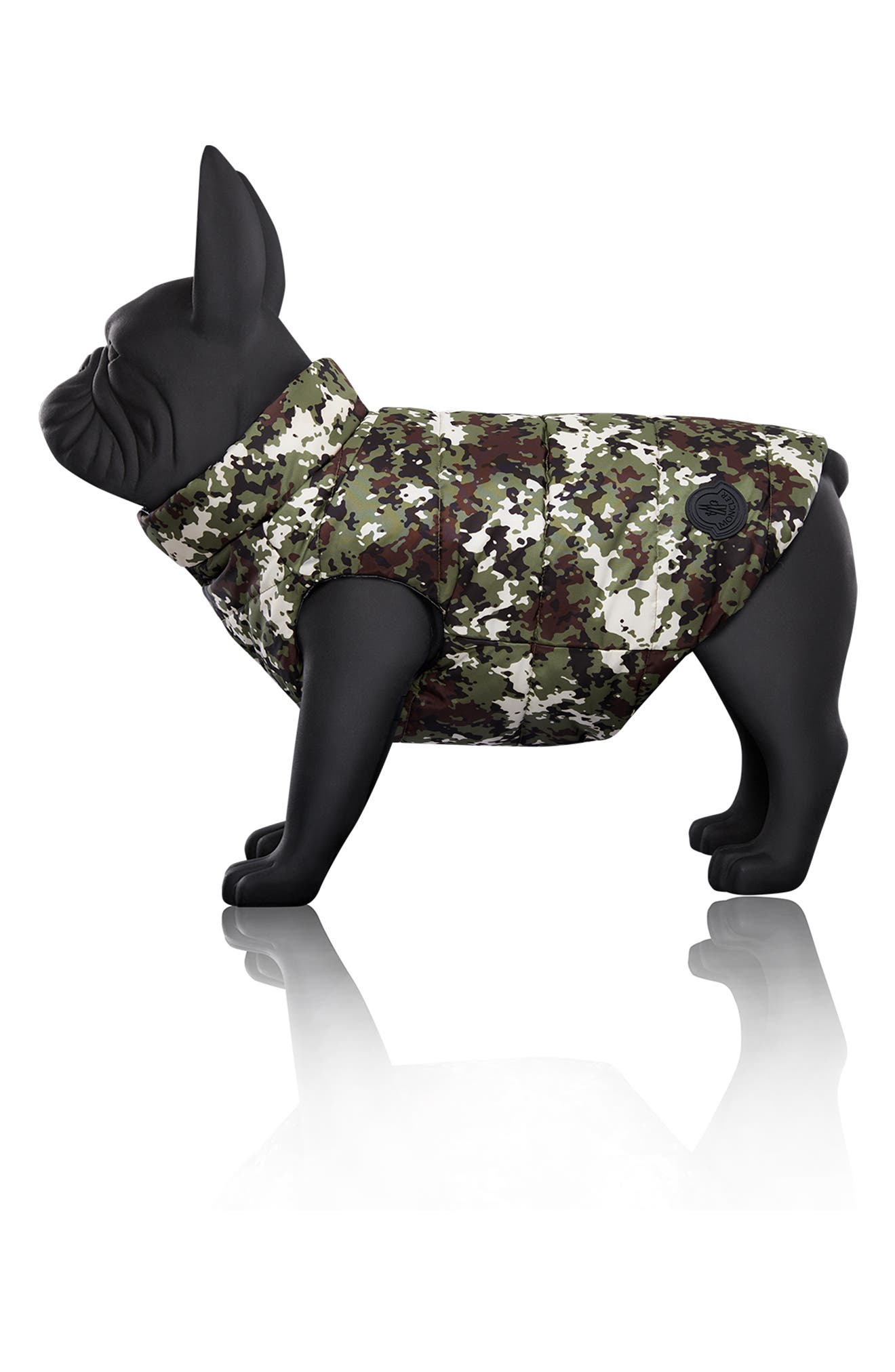 moncler dog jacket ebay