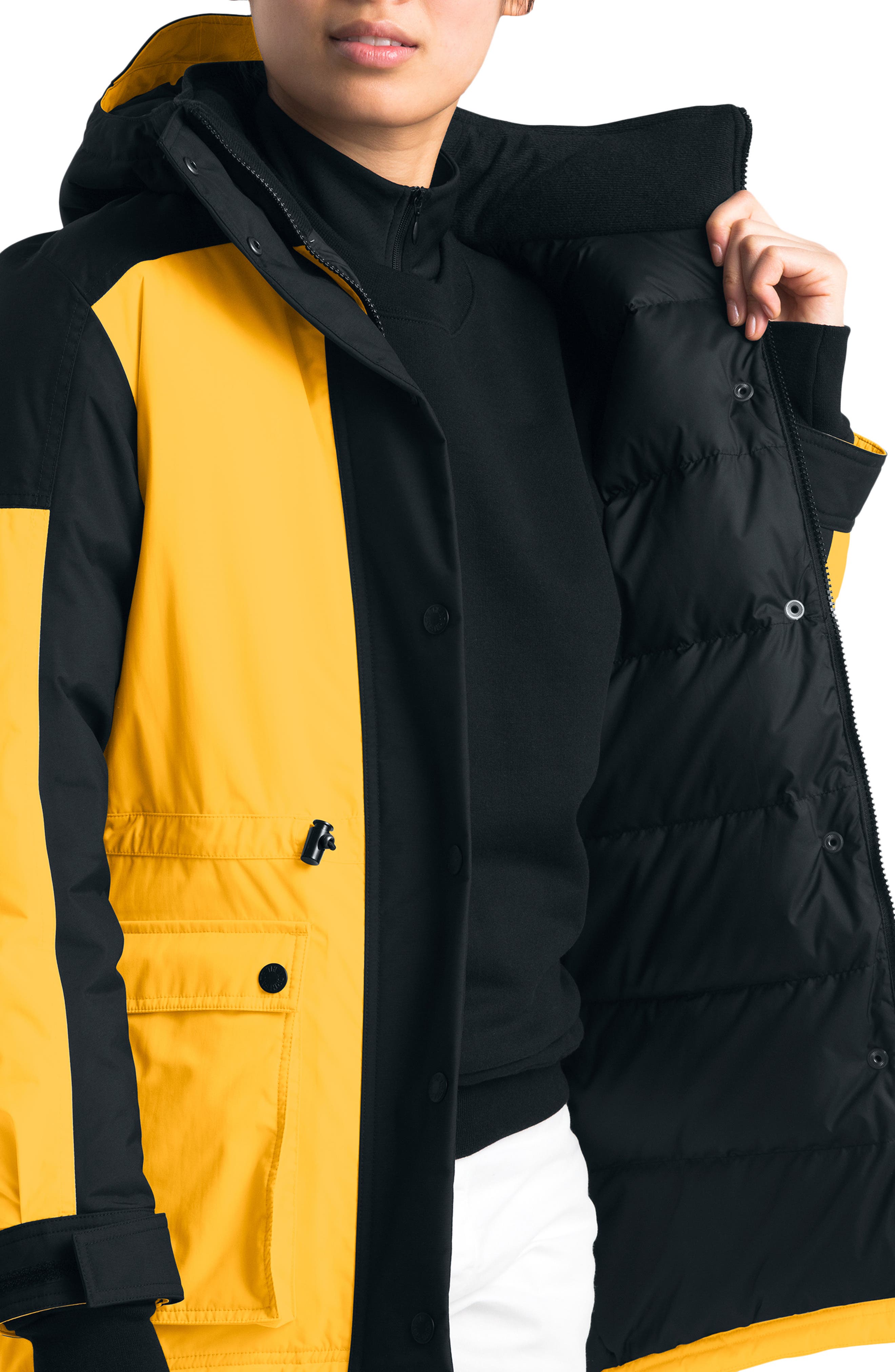 the north face reign on down parka