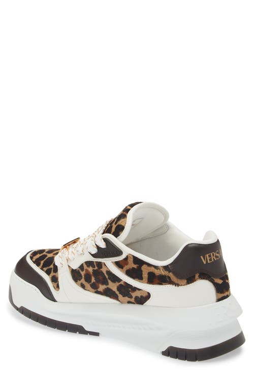 Shop Versace Odissea Genuine Calf Hair Sneaker In Ebano Ivory Gold