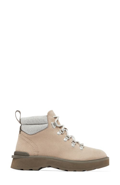 Shop Sorel Hi-line Cozy Lace-up Hiking Boot In Omega Taupe/major