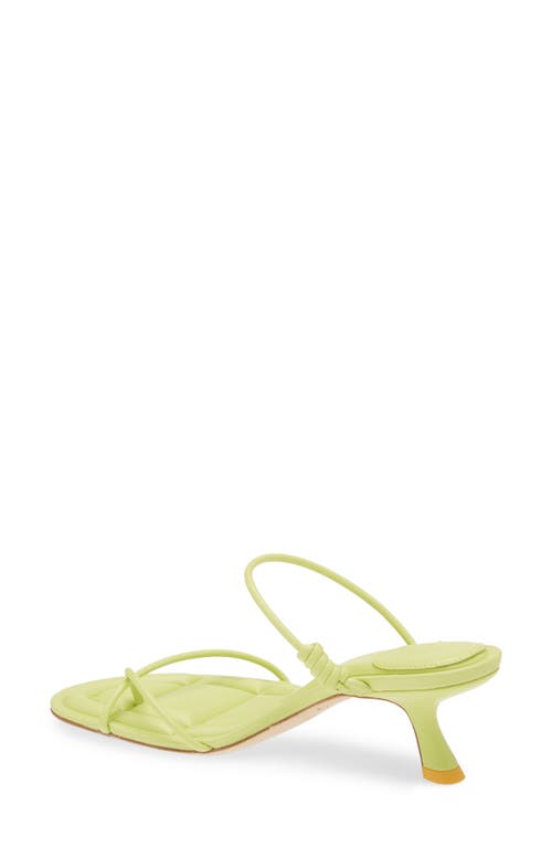 Shop Oncept Sydney Rolled Strap Sandal In Limeade