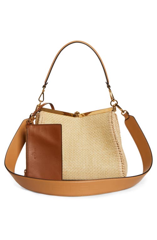 Etro Small Vela Embroidered Raffia Bag In Camel
