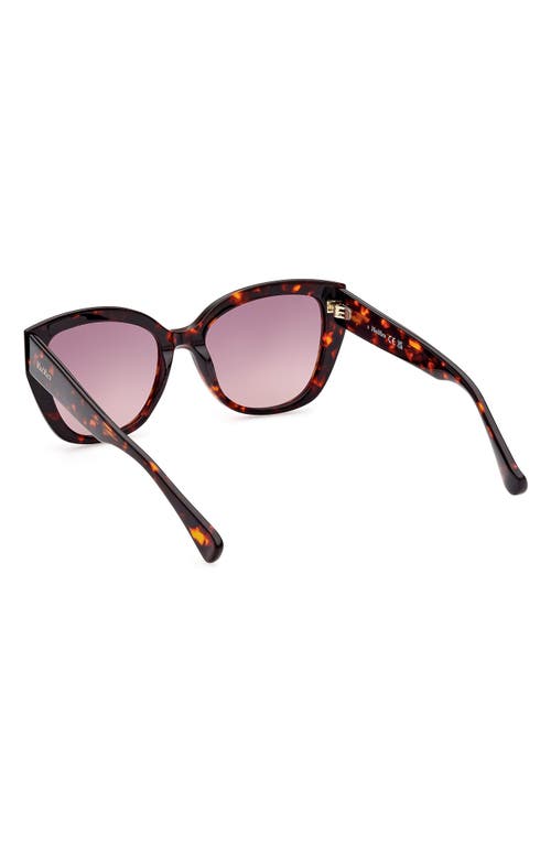 Shop Max Mara 54mm Cat Eye Sunglasses In Shiny Red Havana/bordeaux