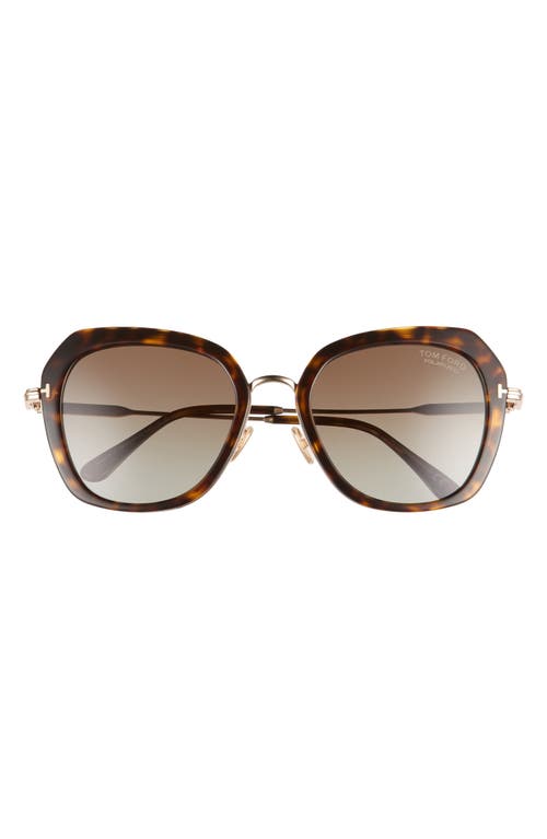 TOM FORD Kenyan 54mm Round Polarized Sunglasses in Havana/Brown at Nordstrom