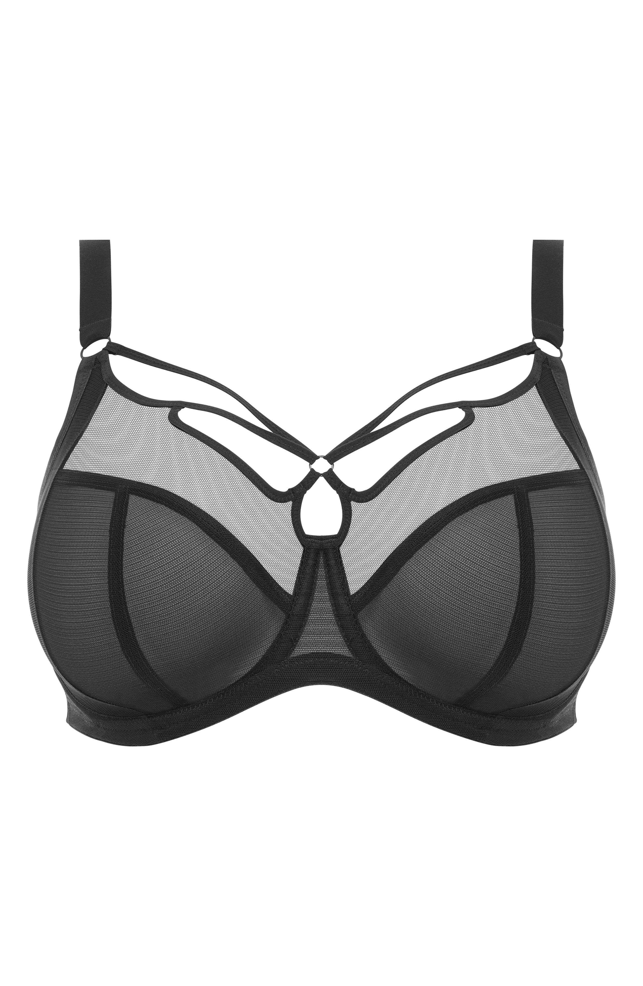Elomi Sachi Full Figure Underwire Plunge Bra Nordstrom
