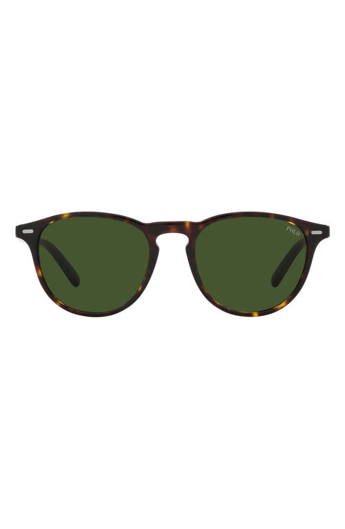 Polo Ralph Lauren 51mm Phantos Sunglasses in Green at Nordstrom