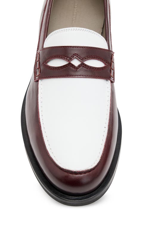 Shop Allsaints Harmon Penny Loafer In Winehouse Red/white