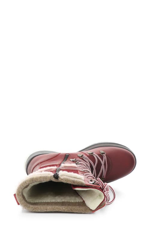 Shop Bos. & Co. Daws Waterproof Winter Boot In Red/sangria/beige Saddle