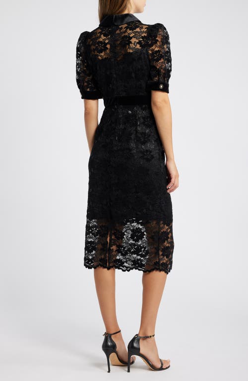 TAHARI ASL TAHARI ASL METALLIC LACE & VELVET MIDI SHIRTDRESS 