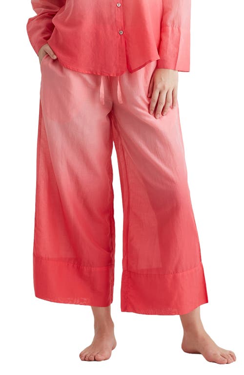 Papinelle Ombré Wide Leg Cotton Pajama Pants in Geranium at Nordstrom, Size X-Large