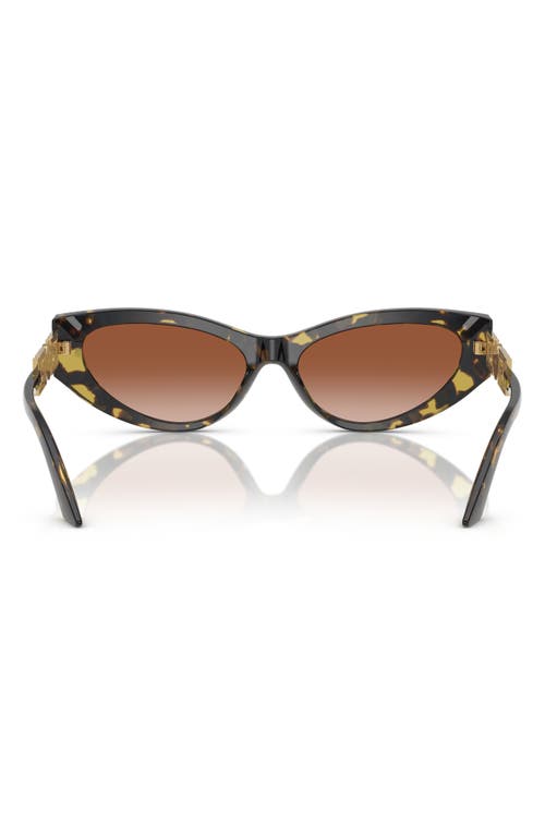 Versace Bright Greca Embellished Cat-eye Sunglasses In Havana