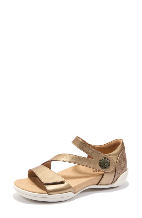 Shop Halsa Footwear Demi Sandal In Bronze