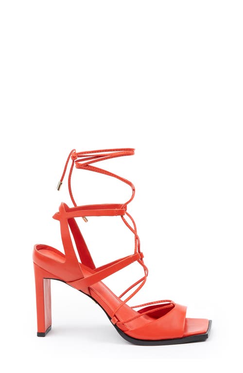 Shop Daniella Shevel Pinot Pump In Red