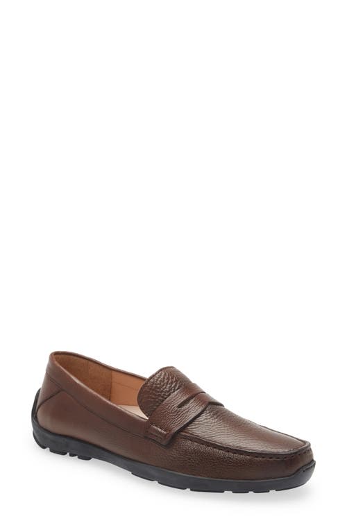 Free Spirit for Him Loafer in Brown Leather