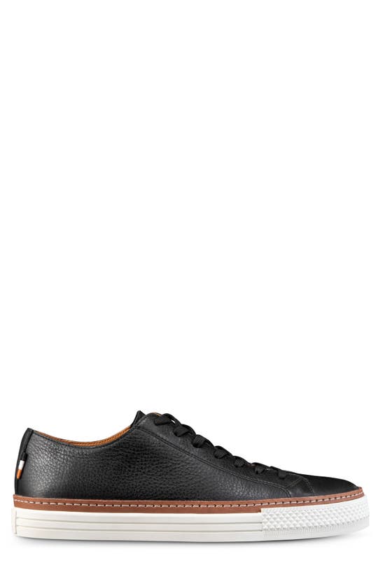 Shop Allen Edmonds Paxton Sneaker In Black