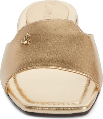 サンダル・ミュール JIMMY CHOO DINA FLAT LEATHER SANDALS Jimmy Choo Dina flat sandals for Women - Black in UAE