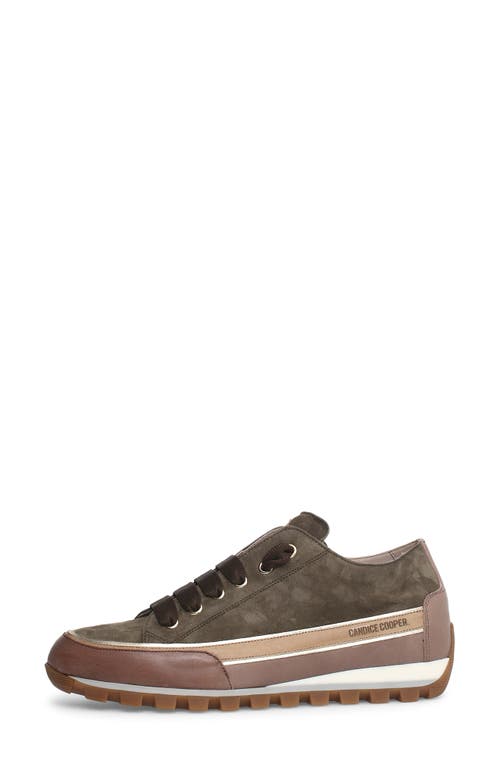 Shop Candice Cooper Janis Strip Sneaker In Army Green