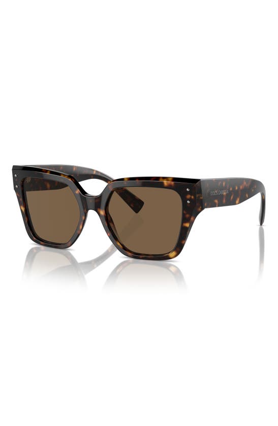 Dolce & Gabbana 52mm Square Sunglasses In Havana