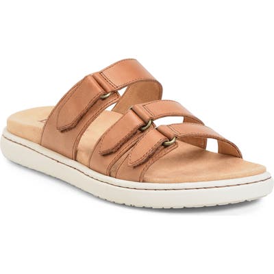 B?rn Daintree Slide Sandal, Brown