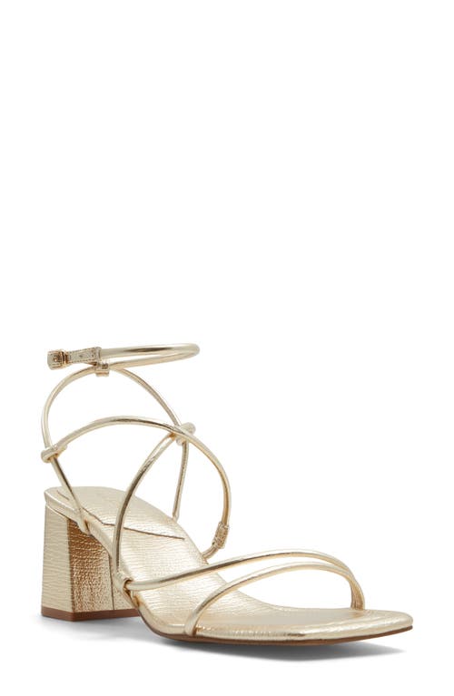 ALDO Harmonni Ankle Strap Sandal Gold at Nordstrom,