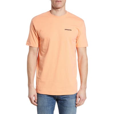Patagonia Fitz Roy Tarpon Responsibili-Tee T-Shirt, Orange