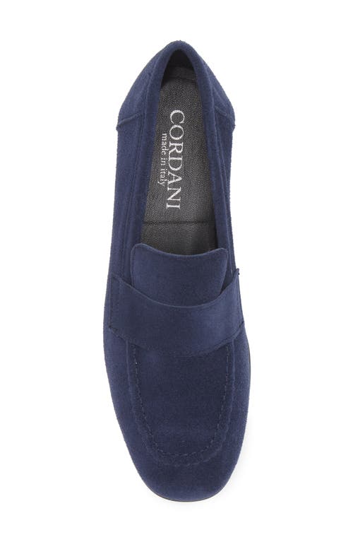 Shop Cordani Ardelle Moc Toe Loafer In Navy Suede