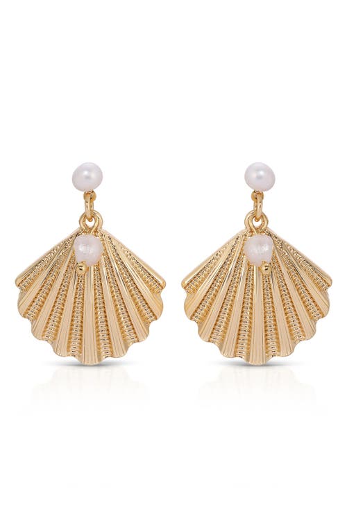 Ettika Scallop Shell With Cultivated Pearl Earrings In Gold