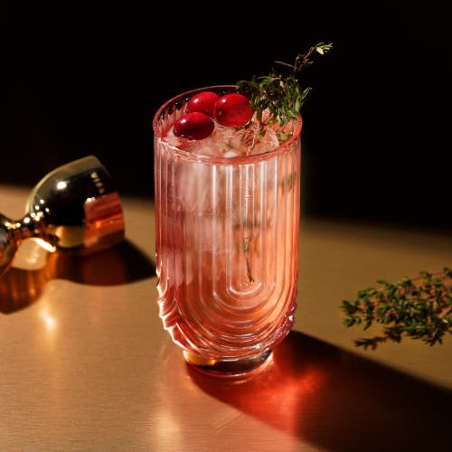 Viski Deco Gatsby Highball Glasses Set Of 2 In Clear