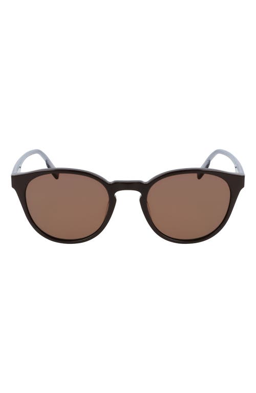 Converse Disrupt 52mm Round Sunglasses in Dark Root/Brown