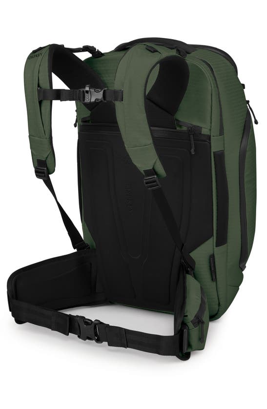 Shop Osprey Archeon 40-liter Backpack In Scenic Valley