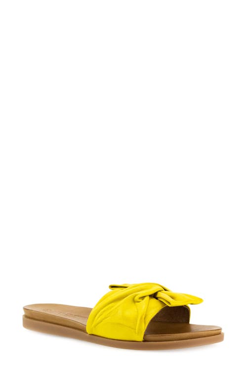 Diona Slide Sandal in Sun Leather