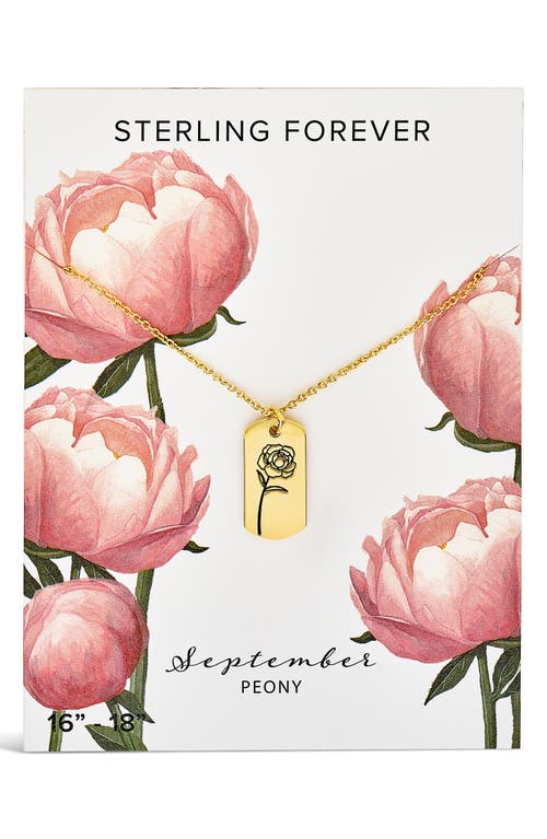 Sterling Forever Birth Flower Pendant Necklace In Gold/september