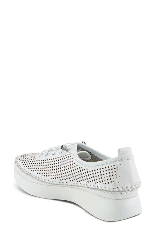 Shop Spring Step Eastwood Platform Sneaker In White