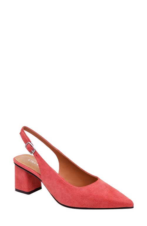 Lisa Vicky Zee Pointed Toe Slingback Pump in Sunkissed