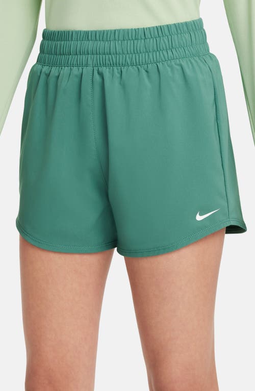 Shop Nike Kids' Dri-fit One Training Shorts In Bicoastal/white