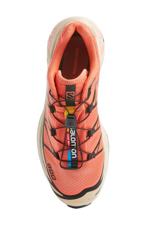 Shop Salomon Gender Inclusive Xt-6 Sneaker In Living Coral/black/cement