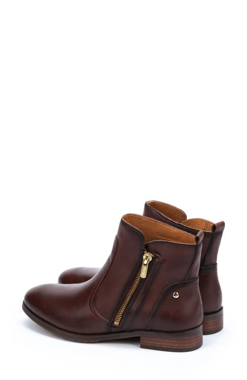 Shop Pikolinos Royal Bootie In Caoba