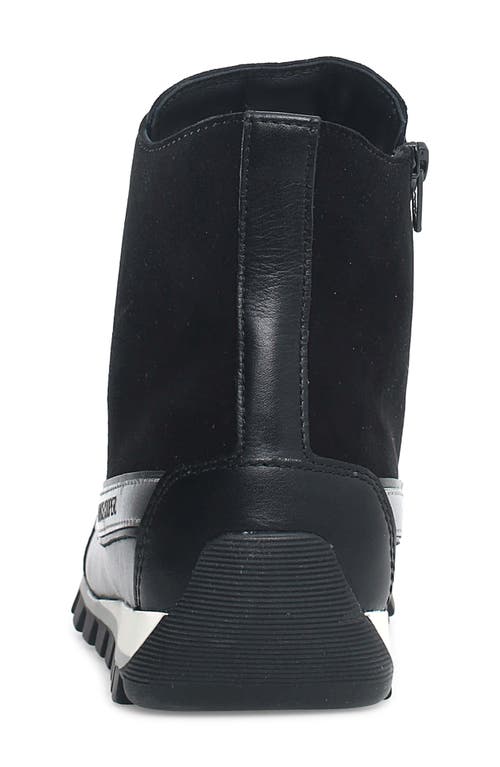 Candice Cooper Janis Strip High Top Sneaker In Black