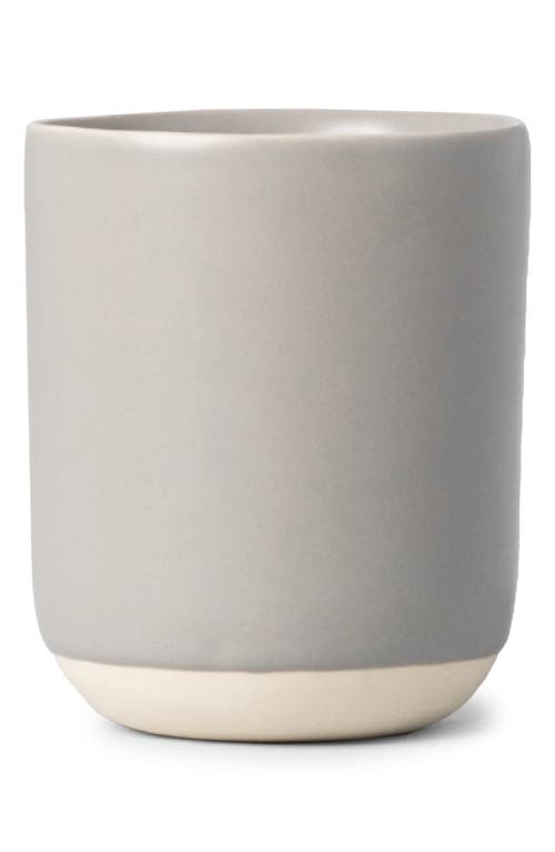 Fable The Cappuccino Set of 4 Cups in Dove Grey at Nordstrom