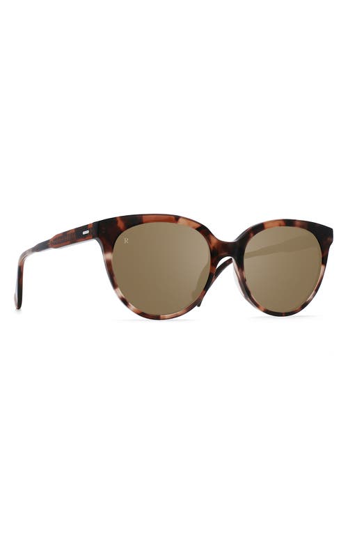 Shop Raen Lily 54mm Polarized Cat Eye Sunglasses In Almond Tortoise/alpine Mirror