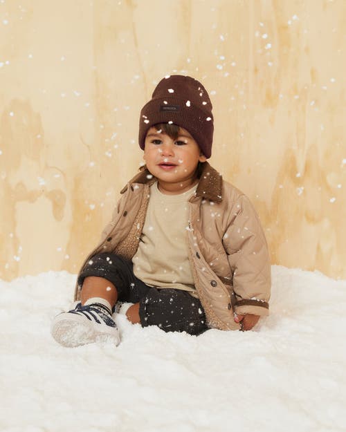 Hemlock Beacon Baby Beanie In Mocha