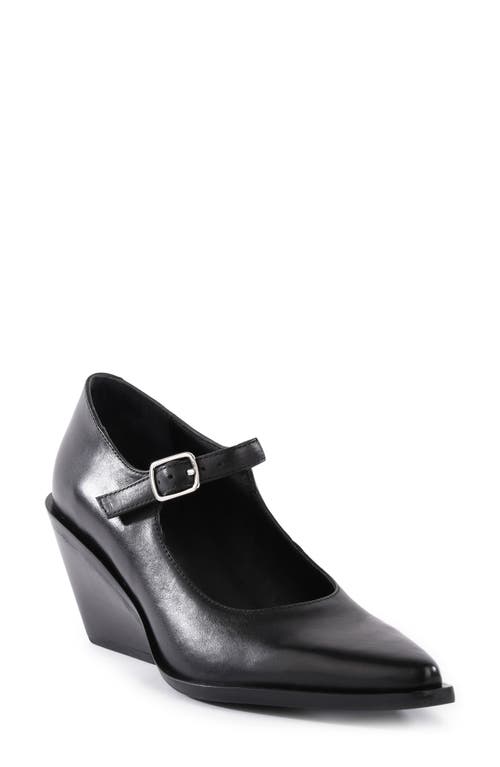 SEYCHELLES SEYCHELLES SPARKS POINTED TOE MARY JANE PUMP